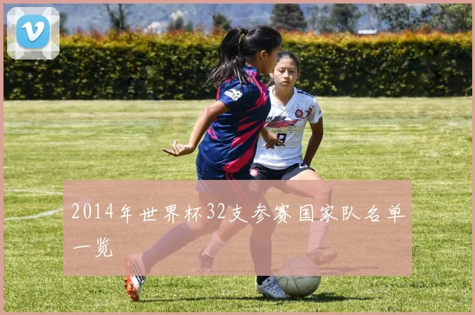 2014年世界杯32支参赛国家队名单一览