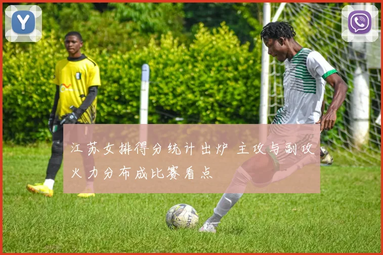 江苏女排得分统计出炉 主攻与副攻火力分布成比赛看点