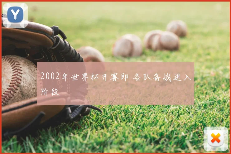 2002年世界杯开赛即 各队备战进入阶段