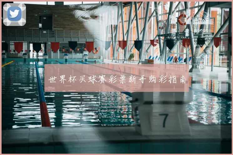 世界杯买球赛彩票新手购彩指南